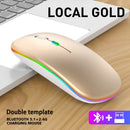 Wireless RGB LED Ergonomic Mouse For PC / Gaming - Bluetooth