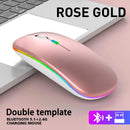 Wireless RGB LED Ergonomic Mouse For PC / Gaming - Bluetooth