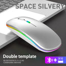 Wireless RGB LED Ergonomic Mouse For PC / Gaming - Bluetooth