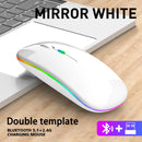 Wireless RGB LED Ergonomic Mouse For PC / Gaming - Bluetooth