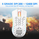 REDRAGON Storm Wired RGB Gaming Ultralight Honeycomb Mouse 12400 DPI