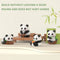 Cute Panda Mini Building Blocks Creative DIY Assembly