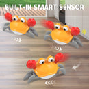 Escape Crab Octopus Crawling Toys