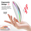 Wireless RGB LED Ergonomic Mouse For PC / Gaming - Bluetooth