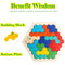 Hexagonal Wooden Puzzles Educational Toys For Children Kids IQ Test Logic Game