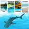 RC Whale Remote Controlled Fish Toy