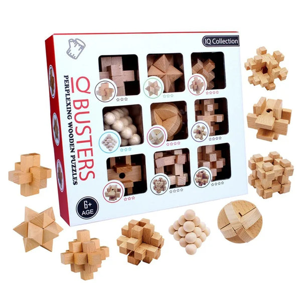 Jigsaw Puzzle Brain Teaser Educational Toys - 6 Puzzle Set